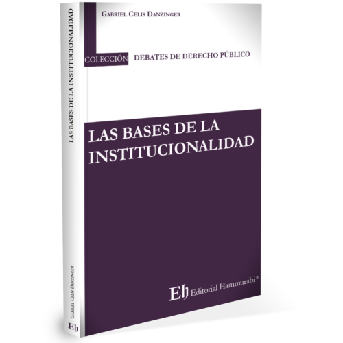 LAS BASES DE LA INSTITUCIONALIDAD