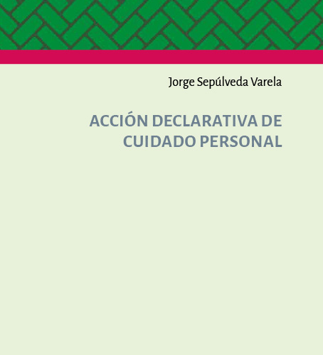 Acción Declarativa de Cuidado Personal, Estudio Sobre su Procedencia en el Derecho Chileno