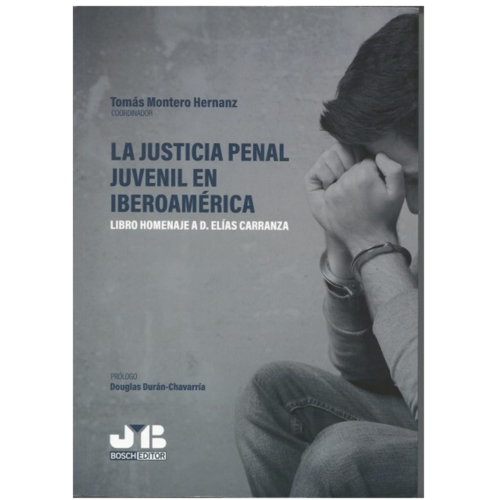 La justicia penal juvenil en Iberoamérica