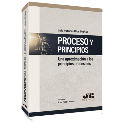 Proceso y Principios