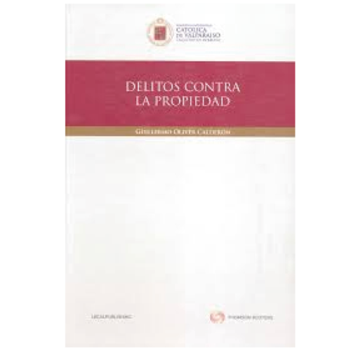 Delitos contra la propiedad