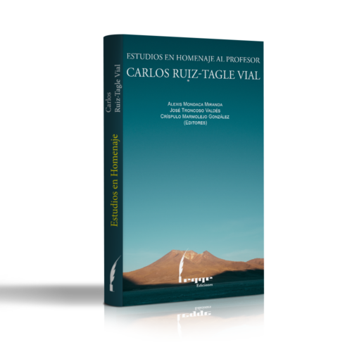 Estudios en homenaje al profesor Carlos Ruiz-Tagle Vial
