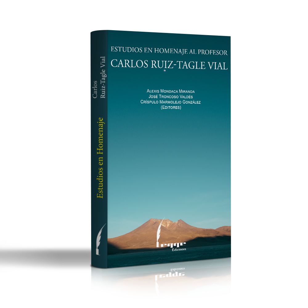 Estudios en homenaje al profesor Carlos Ruiz-Tagle Vial