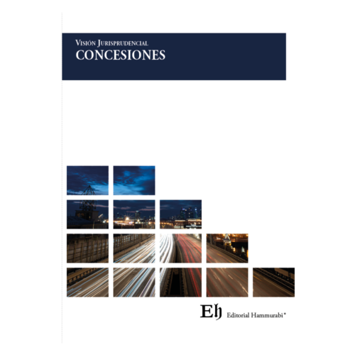 Visión Jurisprudencial CONCESIONES