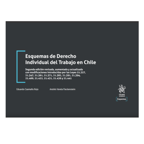 Esquemas de Derecho Individual del Trabajo en Chile 2ª Edición