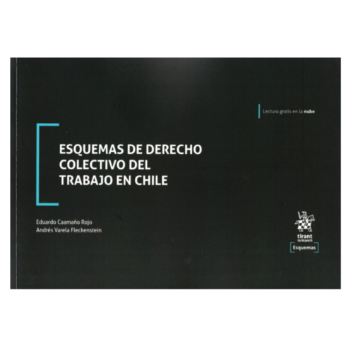 ESQUEMAS DE DERECHO COLECTIVO DEL TRABAJO EN CHILE