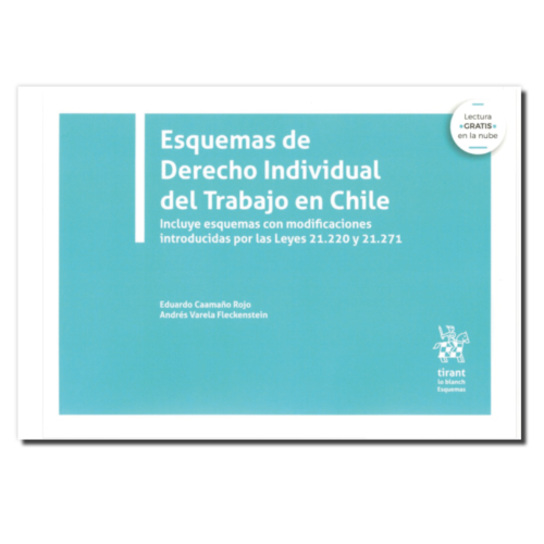 Esquemas de Derecho Individual del Trabajo en Chile