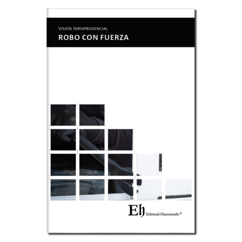 Visión Jurisprudencial ROBO CON FUERZA