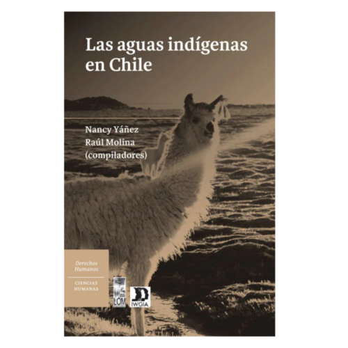 Las aguas indígenas en Chile