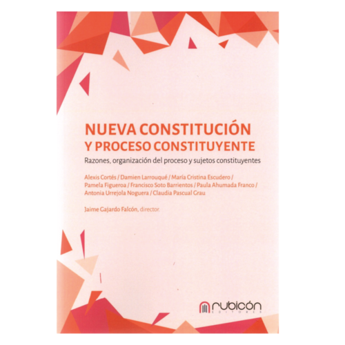 NUEVA CONSTITUCIÓN Y PROCESO CONSTITUYENTE - RAZONES, ORGANIZACIÓN DEL PROCESO Y SUJETOS CONSTITUYENTES