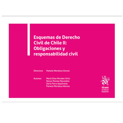 ESQUEMAS DE DERECHO CIVIL DE CHILE II: OBLIGACIONES Y RESPONSABILIDAD CIVIL