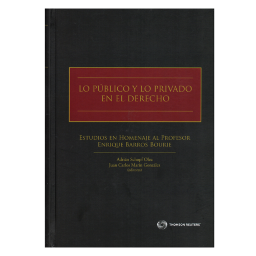 LO PÚBLICO Y LO PRIVADO EN EL DERECHO - ESTUDIOS EN HOMENAJE AL PROF. ENRIQUE BARROS BOURIE