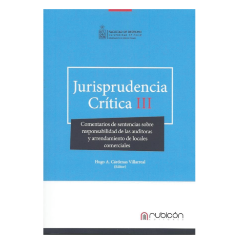 Jurisprudencia Crítica III, Comentarios de Sentencias sobre Responsabilidad de las Auditorias y Arrendamientos de Locales Comerciales