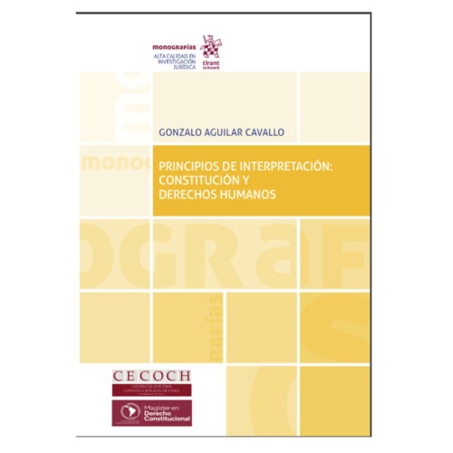 Principios de interpretación: Constitución y Derechos Humanos