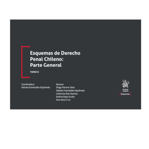 ESQUEMAS DE DERECHO PENAL CHILENO: Parte general Tomo II