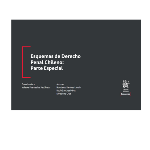 ESQUEMAS DE DERECHO PENAL CHILENO: PARTE ESPECIAL