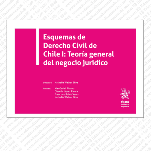 ESQUEMAS DE DERECHO CIVIL DE CHILE I - TEORÍA GENERAL DEL NEGOCIO JURÍDICO