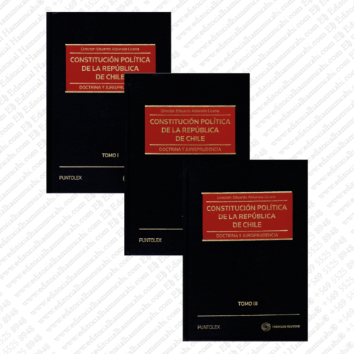 CONSTITUCIÓN POLÍTICA DE LA REPÚBLICA DE CHILE: Doctrina Y Jurisprudencia