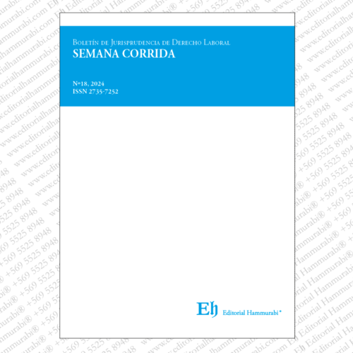BOLETÍN DE JURISPRUDENCIA DE DERECHO LABORAL Nº18, 2024. Semana Corrida
