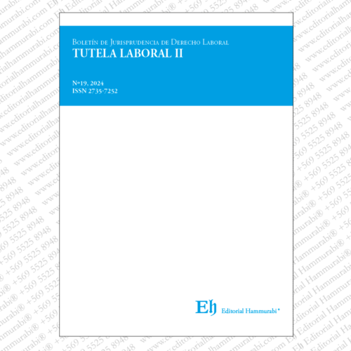 BOLETÍN DE JURISPRUDENCIA DE DERECHO LABORAL Nº19, 2024. Tutela Laboral II