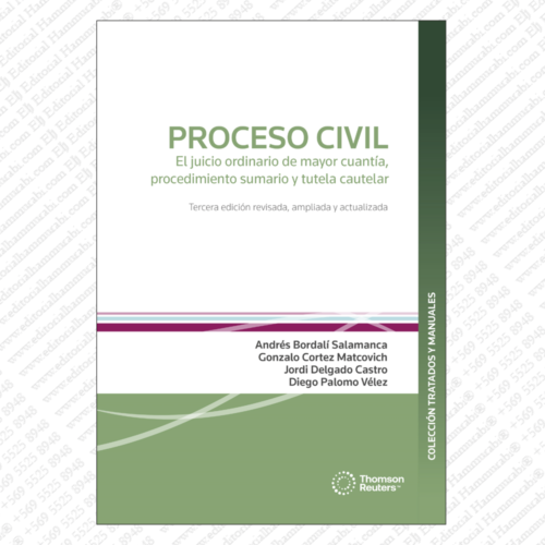 PROCESO CIVIL - EL JUICIO ORDINARIO DE MAYOR CUANTÍA, PROCEDIMIENTO SUMARIO Y TUTELA CAUTELAR
