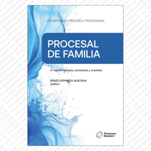 ESTRATEGIA Y PRÁCTICA PROFESIONAL PROCESAL DE FAMILIA 4ta Edición