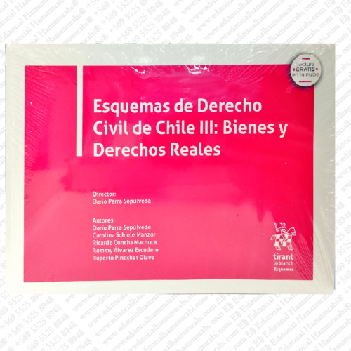 ESQUEMAS DE DERECHO CIVIL DE CHILE III - BIENES Y DERECHOS REALES