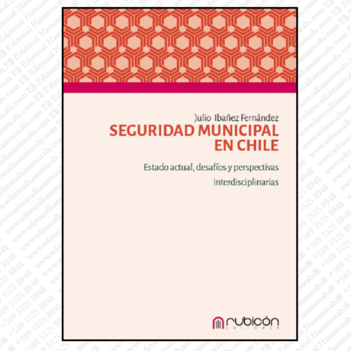 SEGURIDAD MUNICIPAL EN CHILE estado actual, desafíos y perspectivas interdisciplinarias