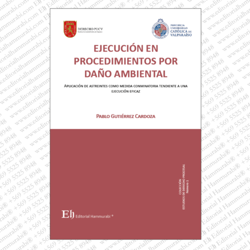 EJECUCIÓN EN PROCEDIMIENTOS POR DAÑO AMBIENTAL