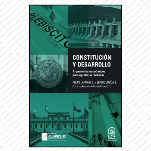 CONSTITUCIÓN Y DESARROLLO Argumentos económicos para aprobar o rechazar