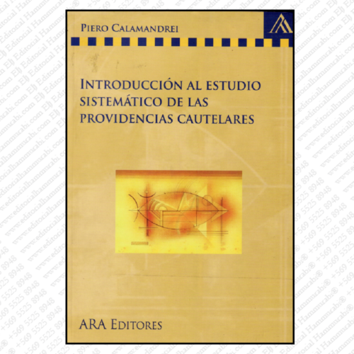 NTRODUCCIÓN AL ESTUDIO SISTEMÁTICO DE LAS PROVIDENCIAS CAUTELARES