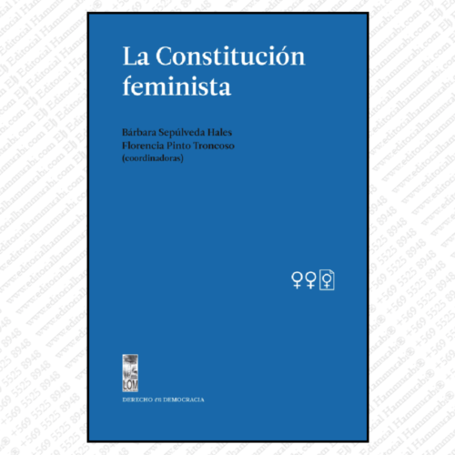 LA CONSTITUCIÓN FEMINISTA