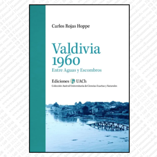 VALDIVIA 1960: Entre aguas y escombros
