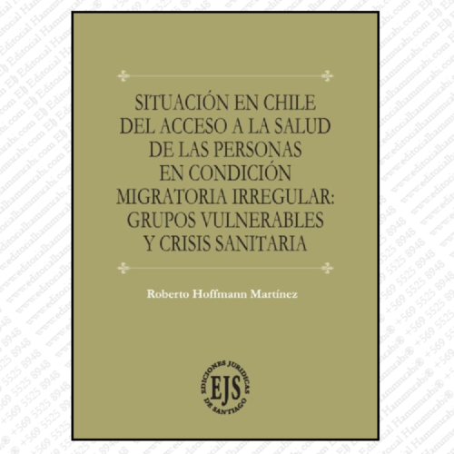 SITUACIÓN EN CHILE DEL ACCESO A LA SALUD DE LAS PERSONAS EN CONDICIÓN MIGRATORIA IRREGULAR: GRUPOS VULNERABLES Y CRISIS SANITARIA