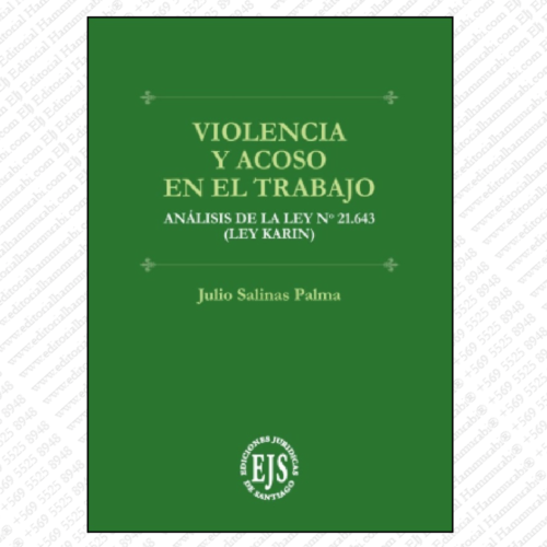 VIOLENCIA Y ACOSO EN EL TRABAJO - ANÁLISIS DE LA LEY N° 21.643 (LEY KARIN)