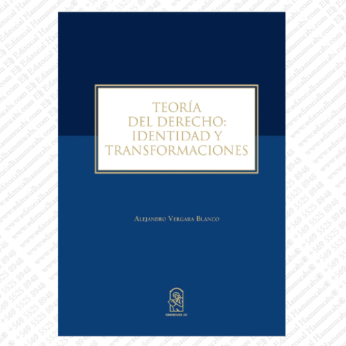 TEORÍA DEL DERECHO: IDENTIDAD Y TRANSFORMACIONES