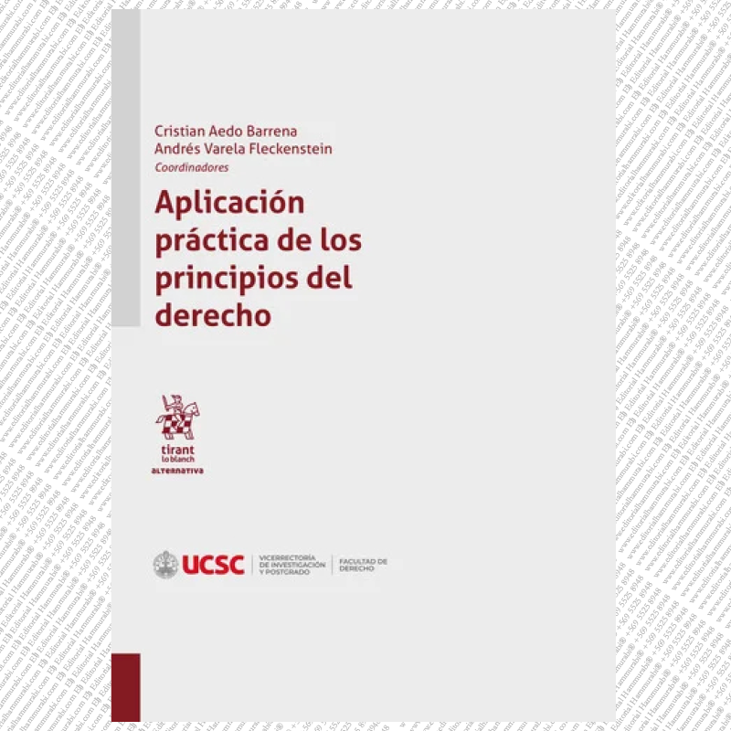 APLICACIÓN PRÁCTICA DE LOS PRINCIPIOS DEL DERECHO