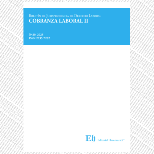 BOLETÍN DE JURISPRUDENCIA DE DERECHO LABORAL Nº20, 2025. COBRANZA LABORAL II