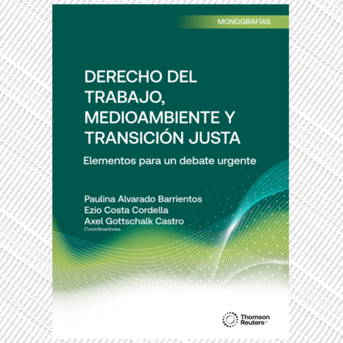 DERECHO DEL TRABAJO, MEDIOAMBIENTE Y TRANSICIÓN JUSTA ELEMENTOS PARA UN DEBATE URGENTE