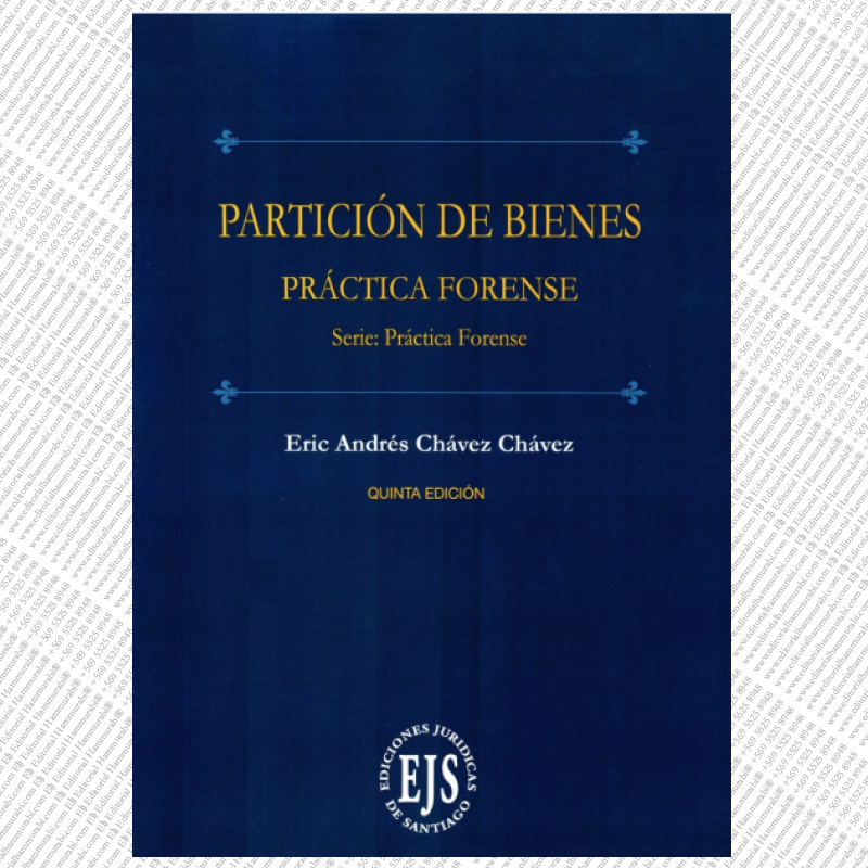 PARTICIÓN DE BIENES - Práctica Forense