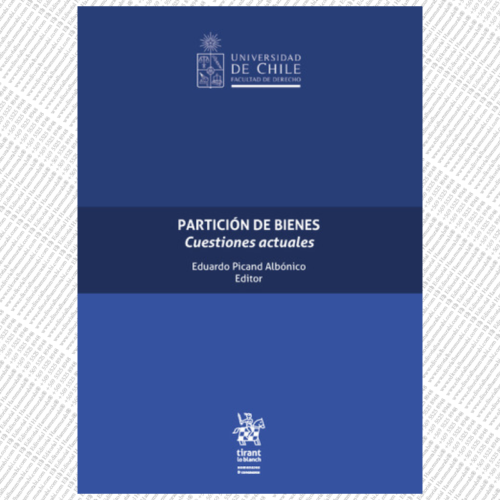 PARTICIÓN DE BIENES. Cuestiones actuales