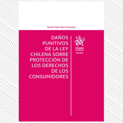 DAÑOS PUNITIVOS DE LA LEY CHILENA SOBRE PROTECCIÓN DE LOS DERECHOS DE LOS CONSUMIDORES